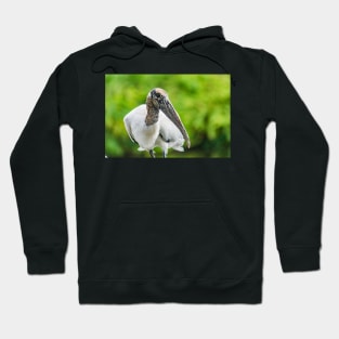 Wood stork  2 Hoodie